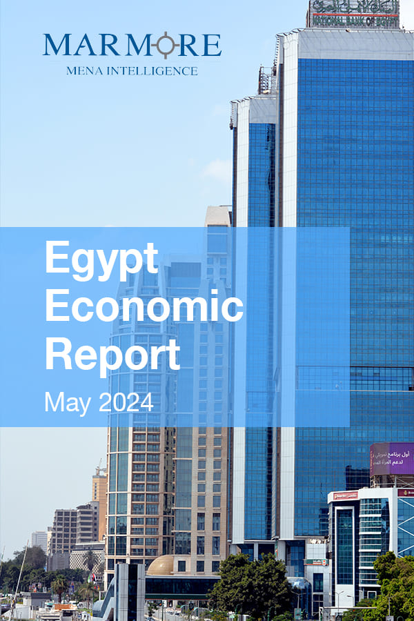 Egypt Economic Report
